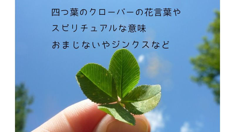 四つ葉のクローバーの花言葉は？