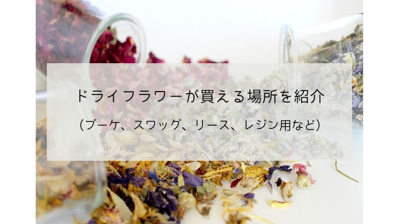 ドライフラワーはどこに売ってる？どこで買うのがおすすめ？値段やどれくらい持つのかなど紹介